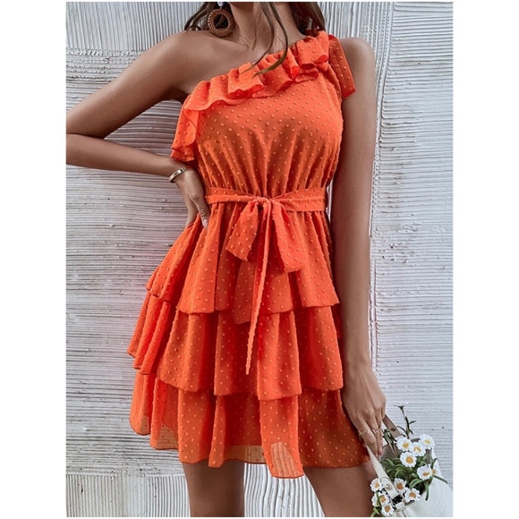 Boho Swiss dot One Shoulder Ruffle Mini Dress - Picture 6 of 13